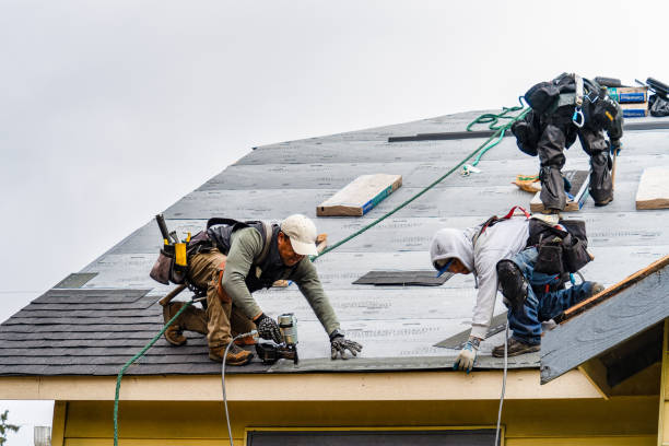 Professional Gutter Installation technician working in Sevierville, TN